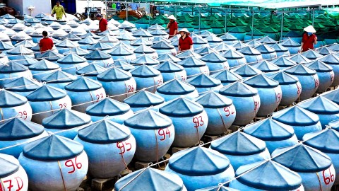 Bình Thuận: Nước mắm OCOP 4 sao và con đường xuất ngoại