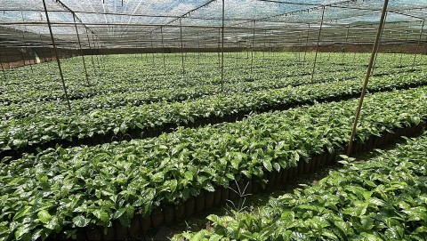 Đếm ngược trước khi EUDR có hiệu lực, đâu là trọng tâm doanh nghiệp cần chú ý?