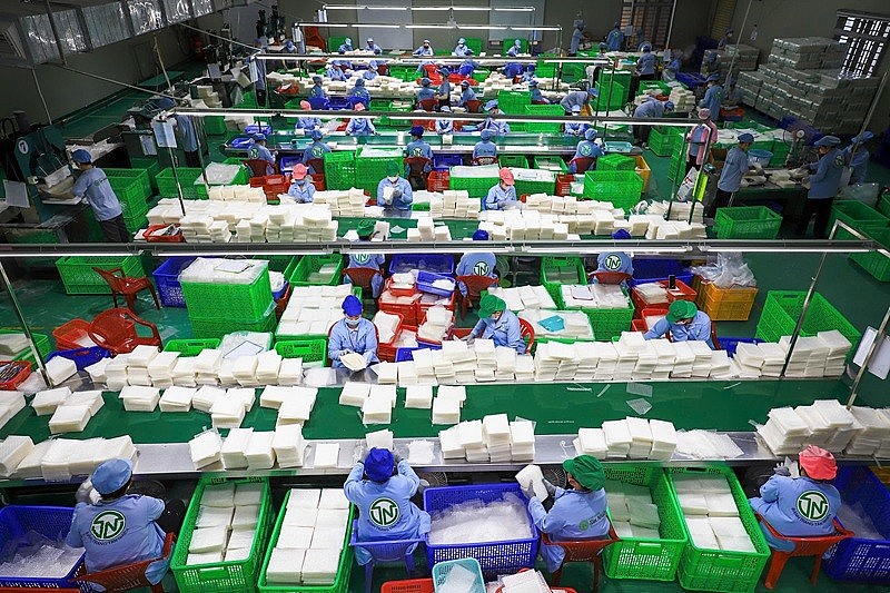 Ứng phó trước tình trạng hàng giả, Công ty TNHH Tân Nhiên đã đẩy mạnh đổi mới bao bì, gắn thêm mã QR, đầu tư công nghệ nhận diện mới