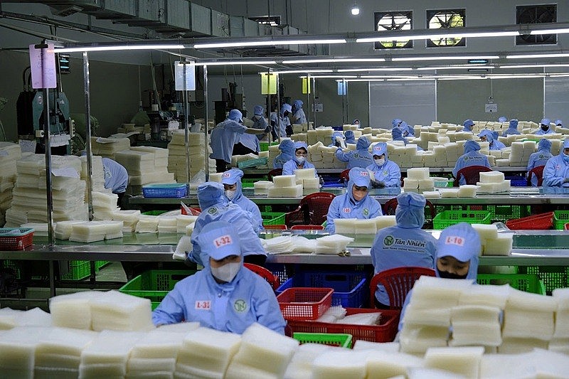 Ông Duy mong muốn sự vào cuộc mạnh mẽ hơn nữa từ cơ quan chức năng, tin rằng doanh nghiệp chân chính và người tiêu dùng không đơn độc trong cuộc chiến chống hàng giả