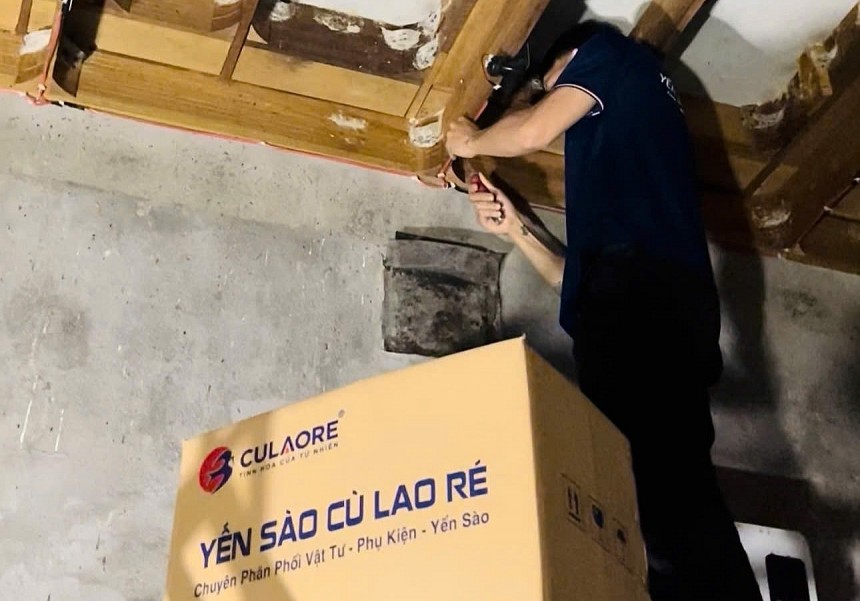 Giàu tiềm năng phát triển, nhưng nghề nuôi chim yến tại tỉnh Quảng Ngãi nói chung và Cù Lao Ré nói riêng cũng đòi hỏi trách nhiệm của người làm nghề nếu muốn phát triển bền vững nguồn tài nguyên thiên nhiên quý giá