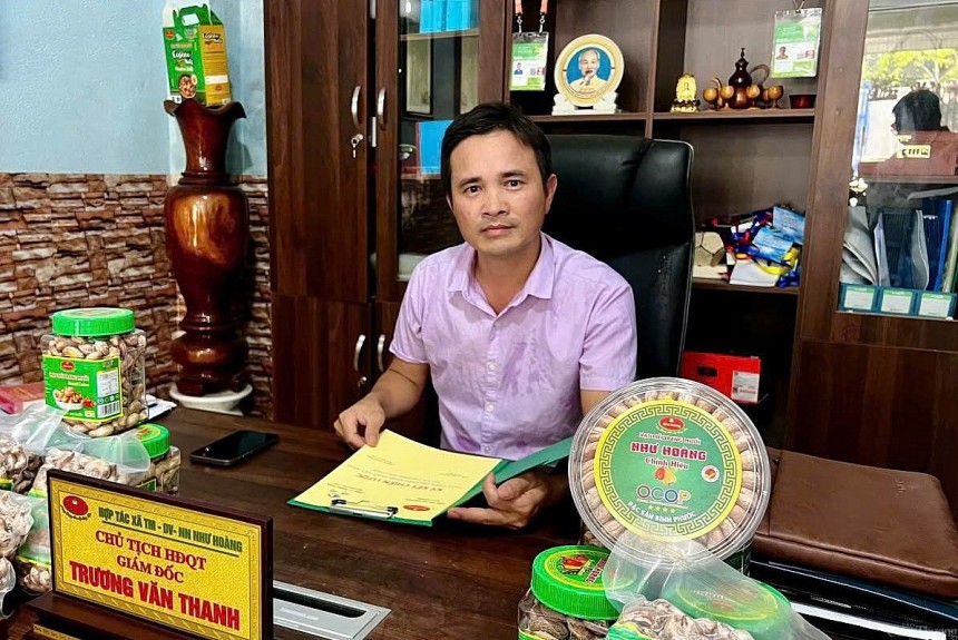 Hạt điều Như Hoàng   Từ trăn trở mùa vụ đến thương hi