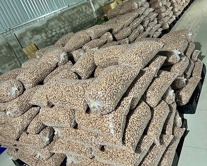 Hạt điều Như Hoàng   Từ trăn trở mùa vụ đến thương hi