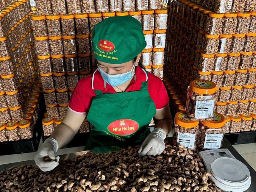 Hạt điều Như Hoàng   Từ trăn trở mùa vụ đến thương hi
