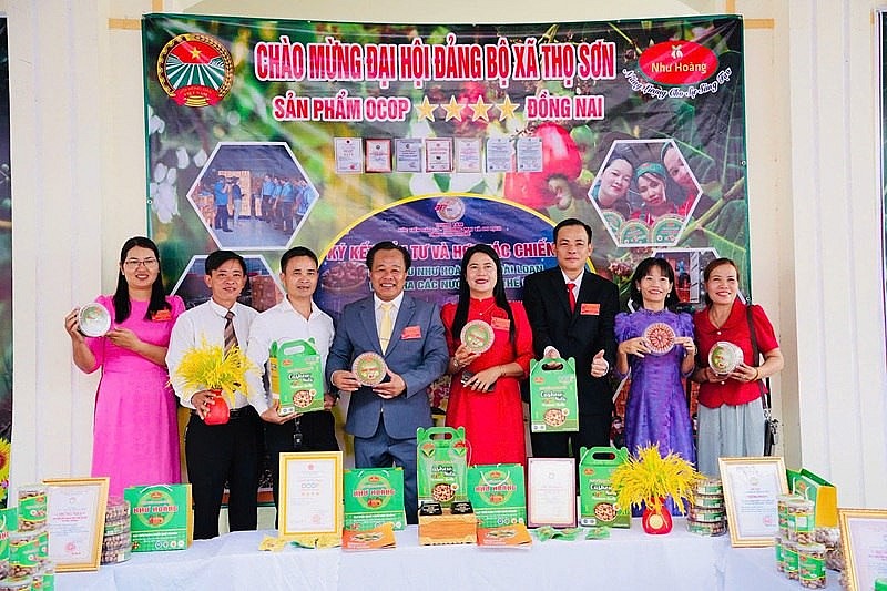 Hạt điều Như Hoàng   Từ trăn trở mùa vụ đến thương hi