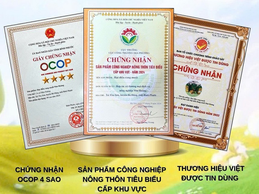 Hạt điều Như Hoàng   Từ trăn trở mùa vụ đến thương hi