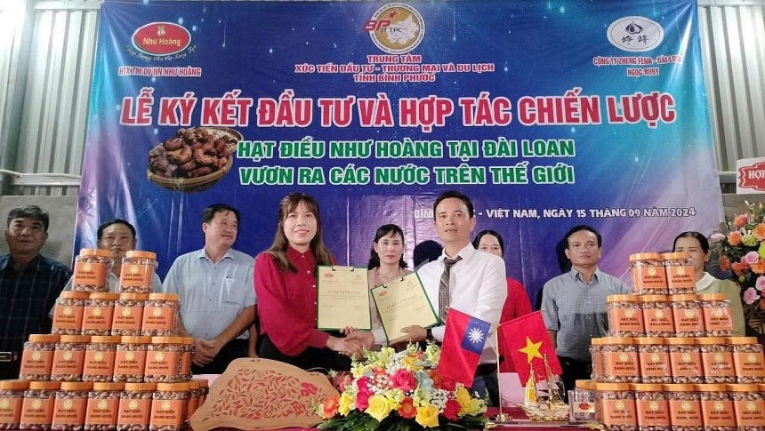 Hạt điều Như Hoàng   Từ trăn trở mùa vụ đến thương hi
