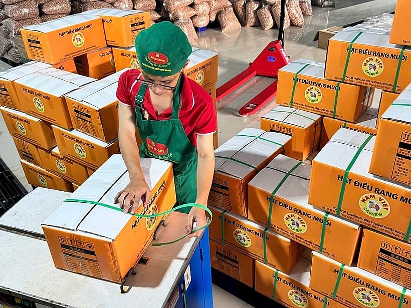 Hạt điều Như Hoàng   Từ trăn trở mùa vụ đến thương hi