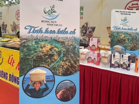 “Rong sụn Ninh Thuận”: Viên ngọc xanh tỏa sáng giữa lòng thủ đô Hà Nội