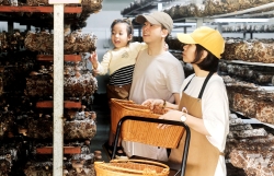 Nâng cao sức cạnh tranh cho sản phẩm OCOP