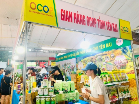 Yên Bái liên kết sản xuất và tiêu thụ nông sản